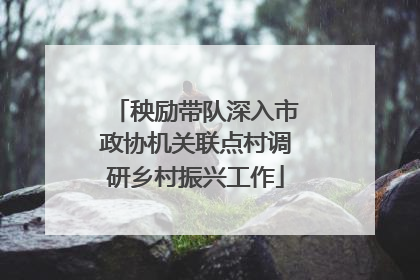 秧励带队深入市政协机关联点村调研乡村振兴工作